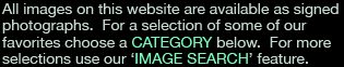 Choose a category or browse the entire collection
