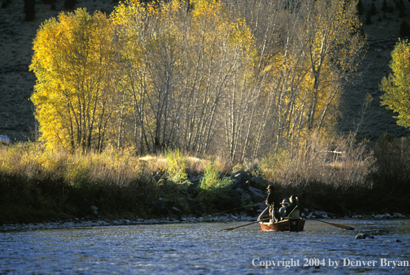 Fly fisherman casting from driftboat.