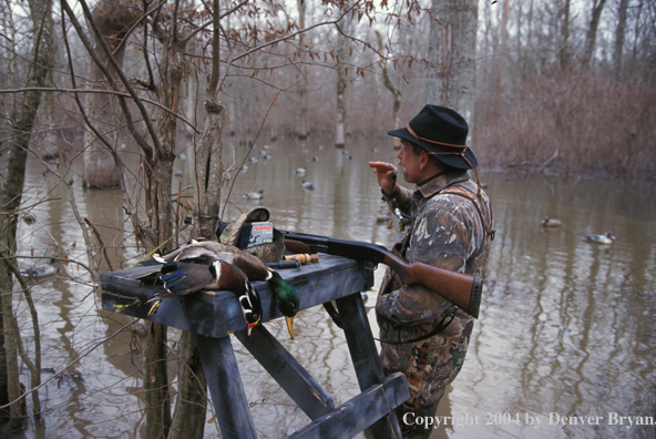 Waterfowl hunter calling birds.