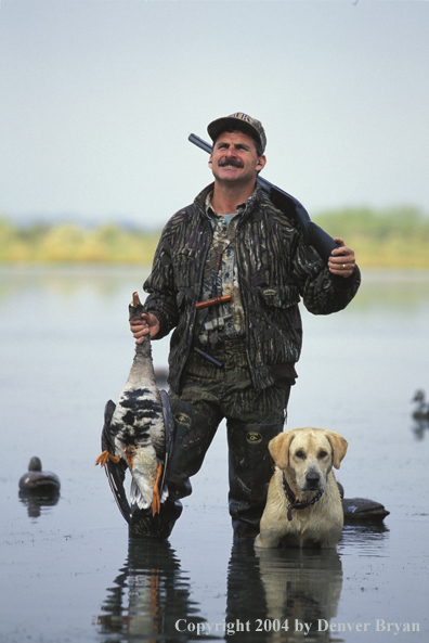 Waterfowl hunter and yellow Lab with bagged White-fronted goose.