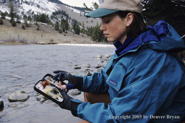 Female flyfisher selecting flies.