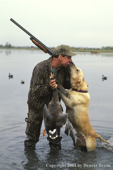 Waterfowl hunter and yellow Lab with bagged White-fronted goose.