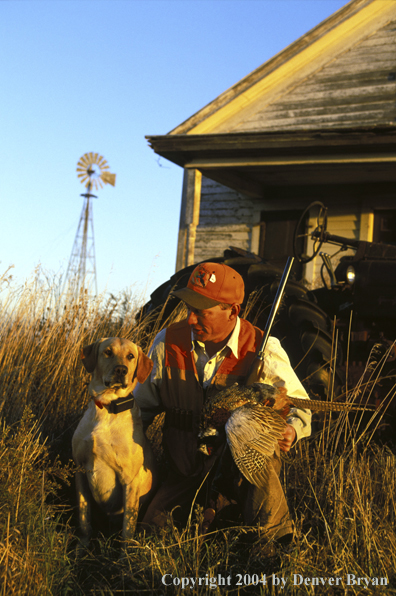 Upland bird hunter with yellow Labrador Retriever and game.