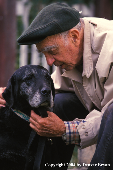 Owner petting Black Labrador Retriever 