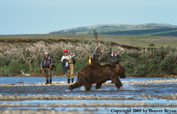 Flyfishermen scaring off brown bear.