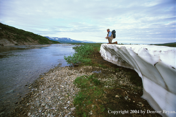 Flyfisherman fishing from snow bank.