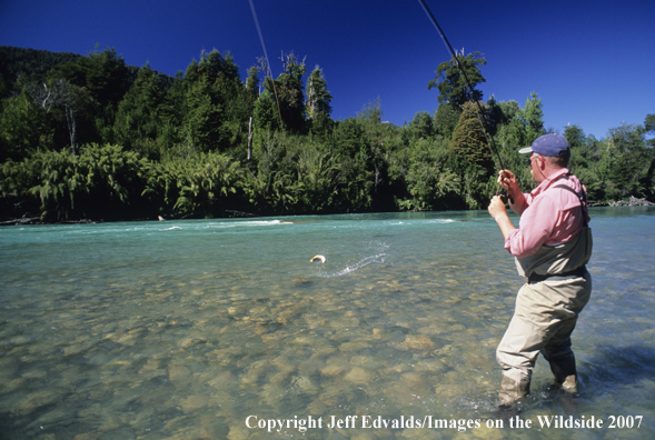 Angler fishing