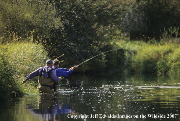 Anglers land large fish