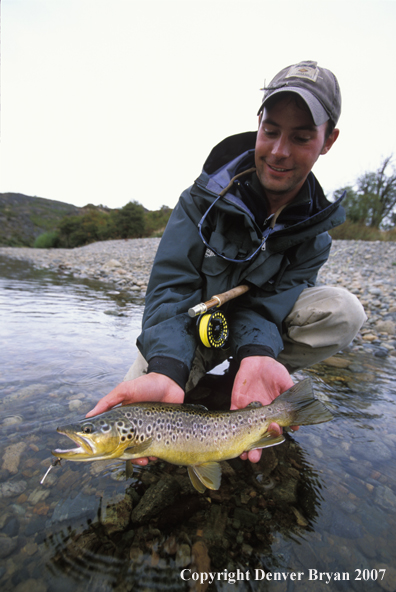 Flyfisherman holding brown trout.