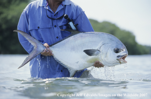 Nice Permit