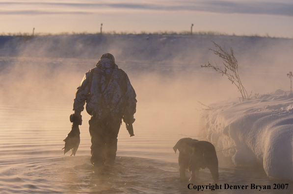 Waterfowl hunter with Lab and bagged ducks.