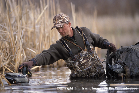 Waterfowl hunter gathering decoys.