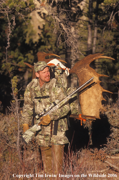 Big game hunter packing very nice moose rack.