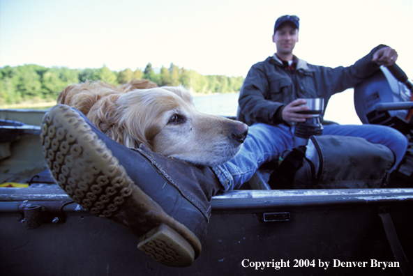 Man with golden Retriever in boat