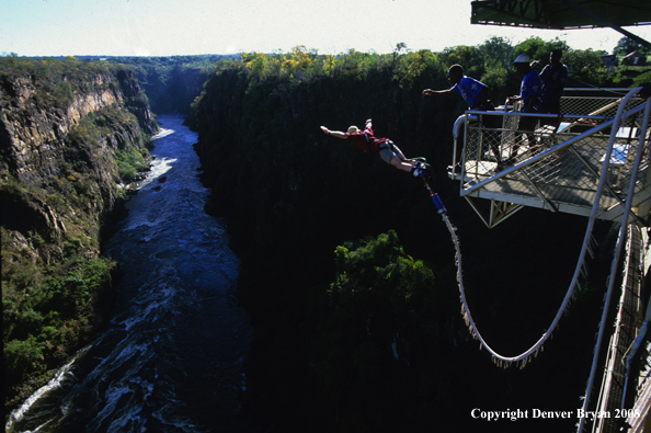 Bungee Jumping off bridge