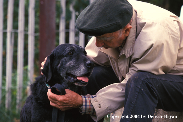 Owner petting Black Labrador Retriever 