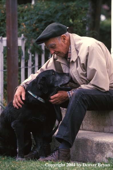 Owner petting Black Labrador Retriever 