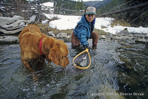 Female flyfisher netting rainbow.