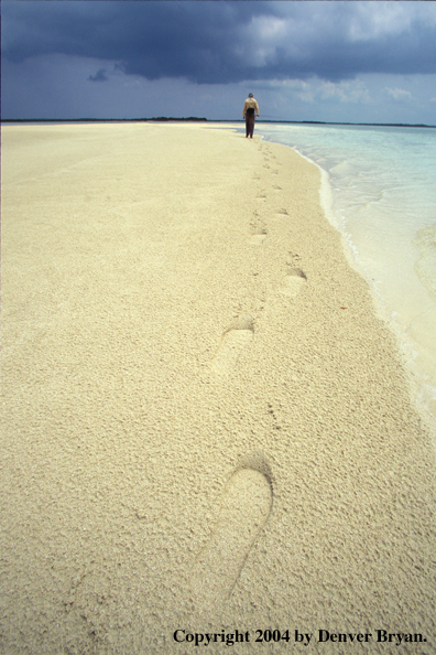 Saltwater flyfisherman walking down beach.