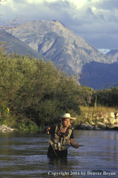 Woman flyfisher fishing river.