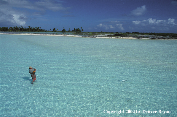 Saltwater flyfisherman fighting fish.