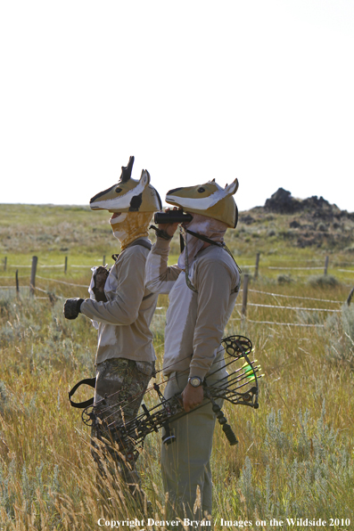 Archery Hunting for Pronghorned Antelope in Field