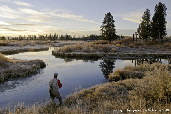 Flyfisherman fishing Maple Creek