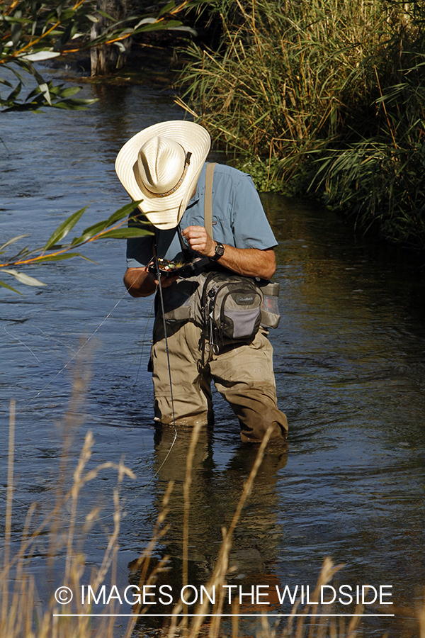 Flyfisherman choosing fly from fly box.