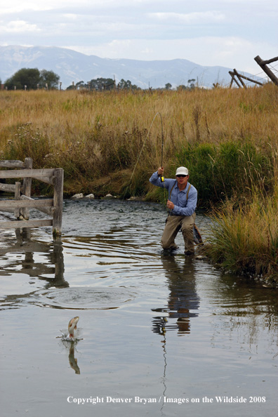 Flyfisherman fishing warm springs