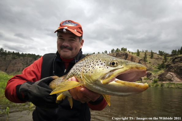 Fly fisherman casting in New Zealand. 