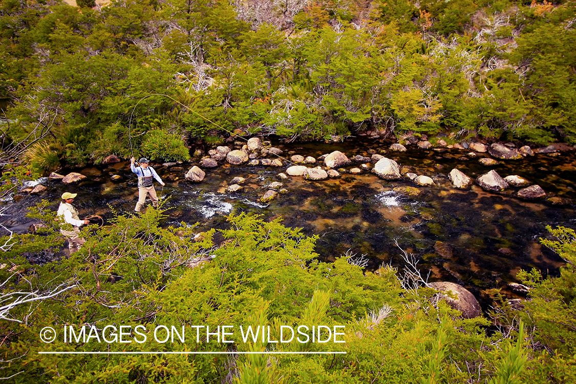 Flyfisherman fighting trout on small stream.