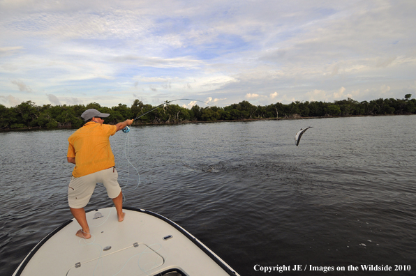 Saltwater Flyfishing 