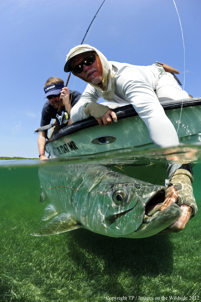 Flyfisherman with Tarpon. 