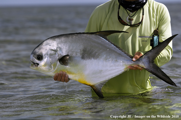 Saltwater Flyfisherman with nice Permit catch