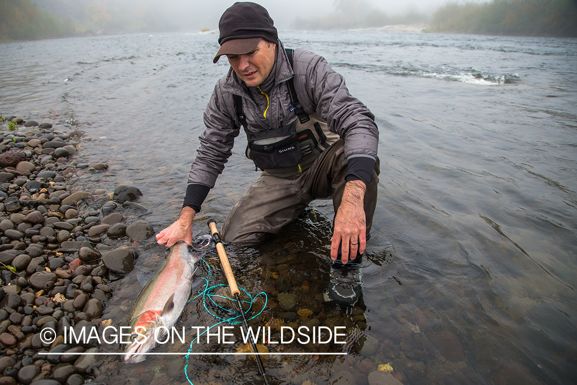 Steelhead fishing