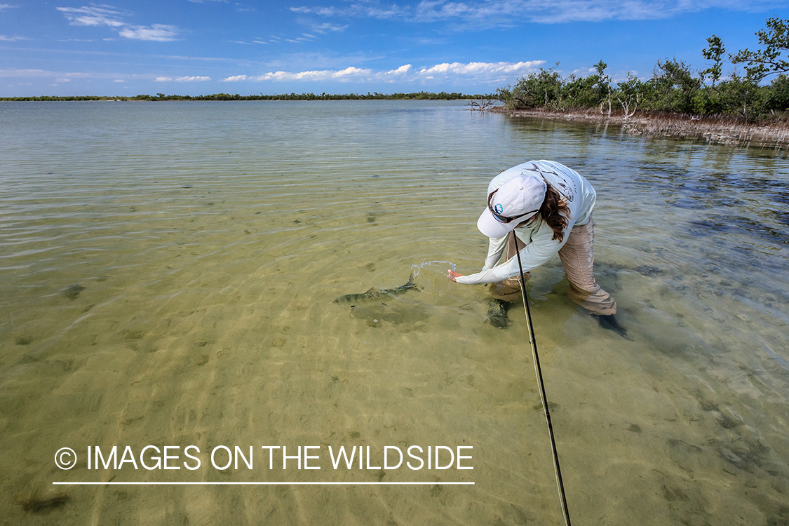 Flyfishing woman with bonefish.