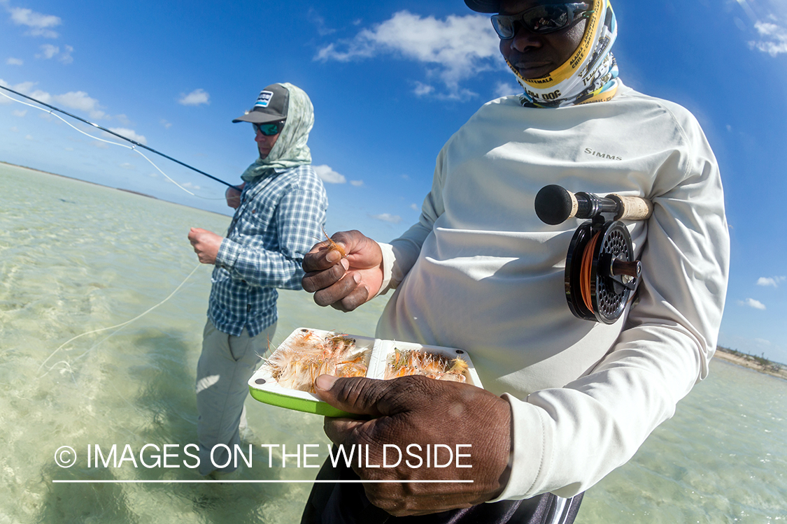 Flyfisherman choosing fly.