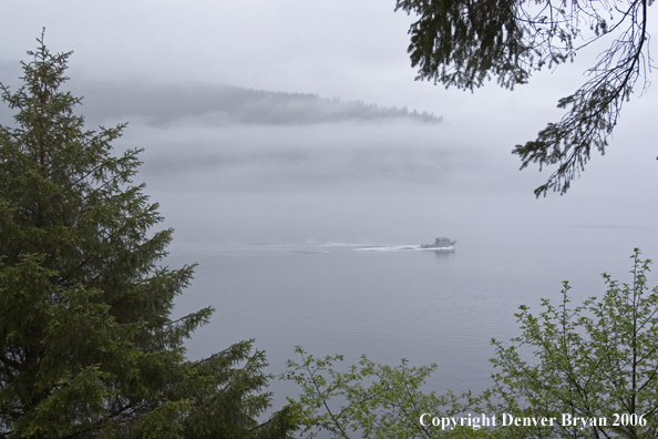 Fishing boat in the fog.  (Alaska/Canada)