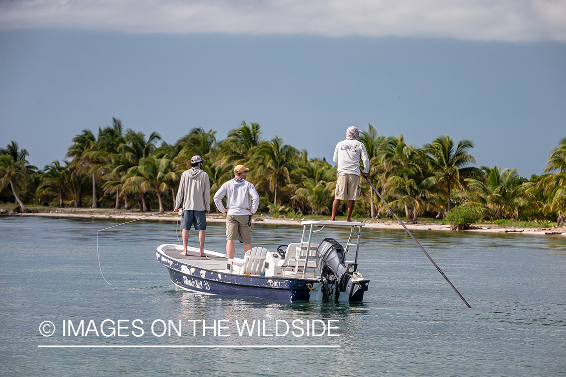 Saltwater flyfishing in Belize.