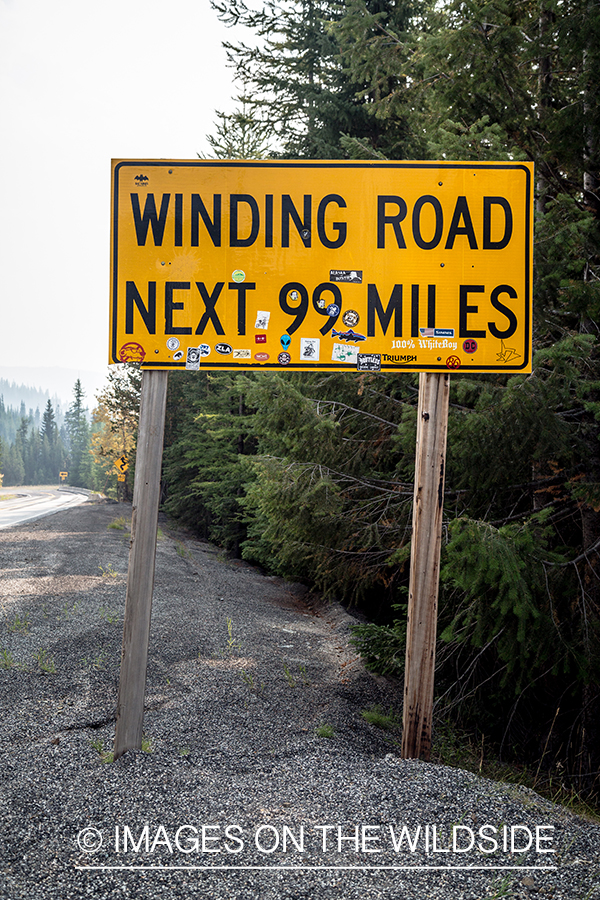 Winding road sign.