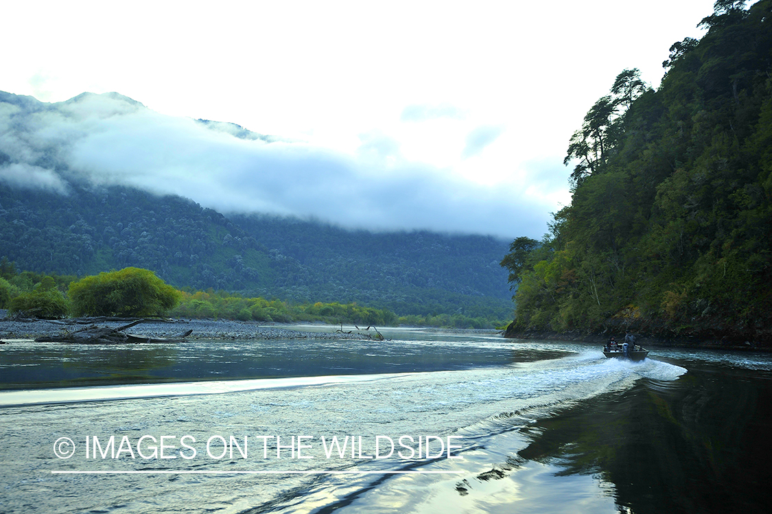 Boat on river in Chile.