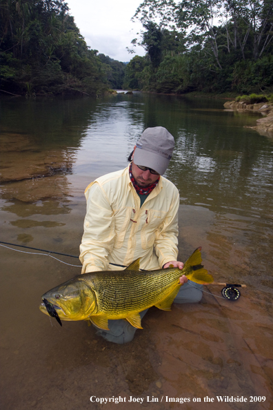 Flyfisherman holding a Golden Dorado