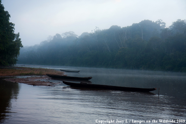 Canoes in Bolivia