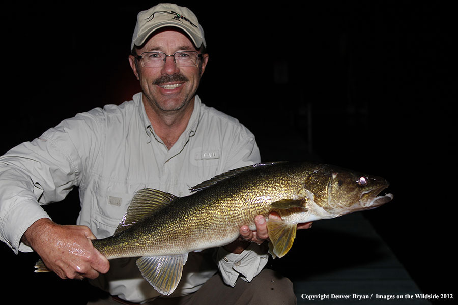 Fisherman with walleye catch.