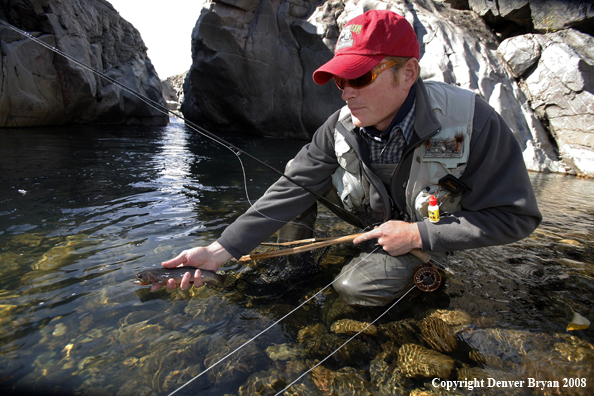 Fisherman releasing small Cutthroat Trout in Crandall Creek