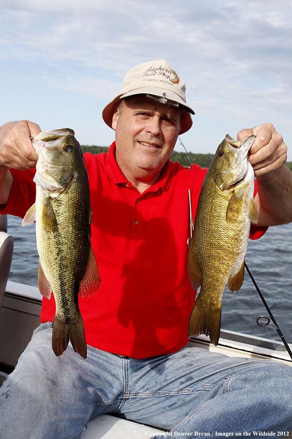 Fisherman with a smallmouth bass (right) and a largemouth bass (left).