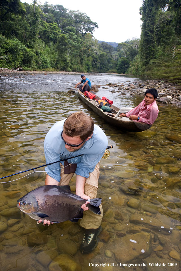 Flyfisherman releasing a pacu.