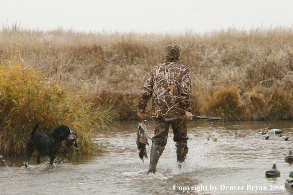 Duck hunting in winter