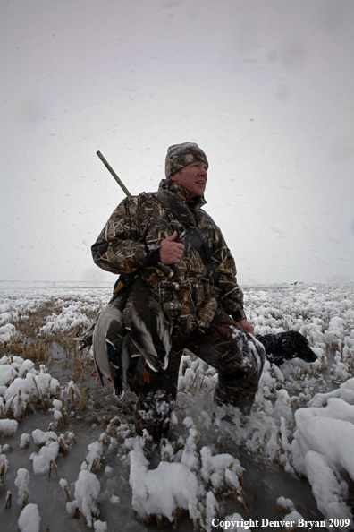 Waterfowl hunter with killed mallard ducks.