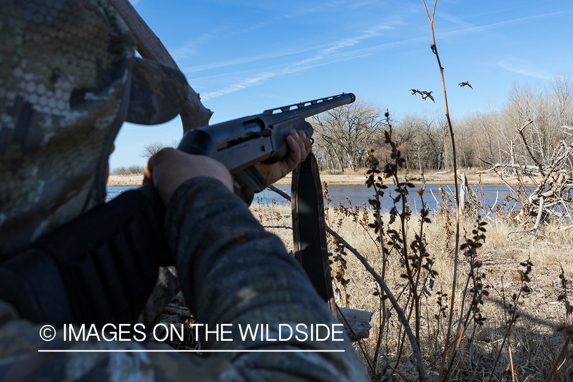 Waterfowl hunting